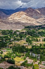 Aerial view of houses in Indus valley in Leh city in Ladakh