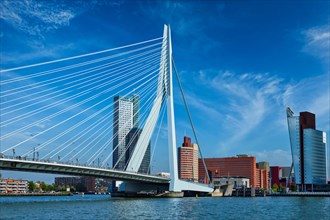 Panorama of Rotterdam cityscape with and Erasmus bridge. Netherlands
