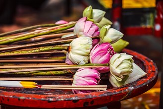 Lotus flowers used as offering in Wat Phra That Doi Suthep Buddhist temple