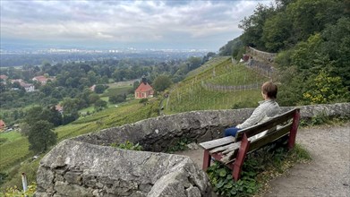 Young woman on a bench with view of the vineyard church and the vineyards near Pillnitz