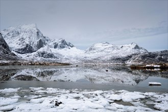 Norwegian fjord in winter. Lofoten islands