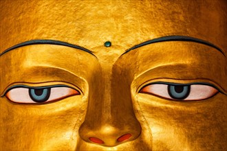Sakyamuni Buddha statue face close up in Shey gompa