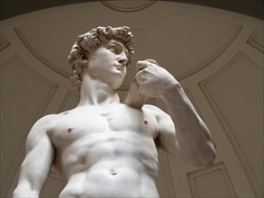 Statue of David by Michelangelo