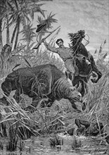 Nashornjagd in Afrika