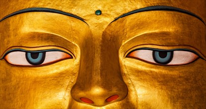 Panoramic image of Sakyamuni Buddha statue face close up in Shey gompa