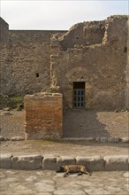 Cobblestone street and ancient ruins of pompeii