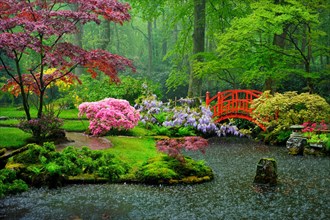 Small bridge in Japanese garden in the rain