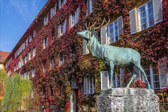 Inner courtyard with deer statue and yellow residential buildings