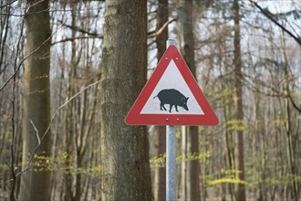 Inclusive and barrier-free nature trail Der Wilde Weg