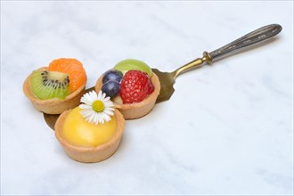 Fruchttoertchen auf Kuchenheber