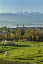 View from Hoyerberg to Lindau towards Lake Constance and the Alps