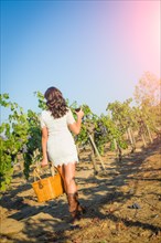 Beautiful young adult woman enjoying glass of wine tasting walking in the grape vineyard