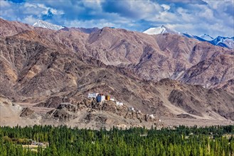 Thiksey gompa and Himalayas. Ladakh