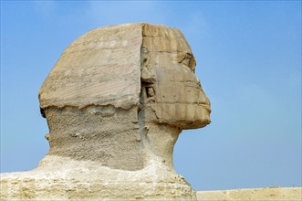 Profile of Head of Sphinx of Giza