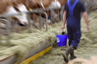 Wiping Picture Farmer with Ufa Plastic Bucket