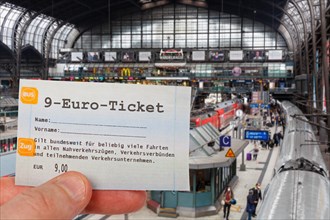 9-euro-Ticket Photomontage at Hamburg Central Station