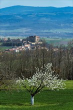 Paulhac castle near Brioude