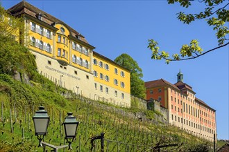 State vineyard with Weiberg and new castle