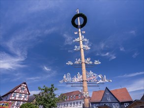 Maypole of the building trade in front of the town hall