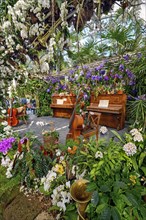 Orchid Show 2022 with musical instruments