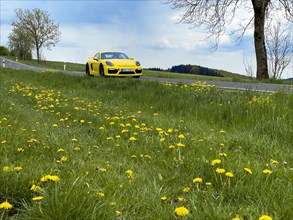 Yellow Porsche GT4 sports car on country road