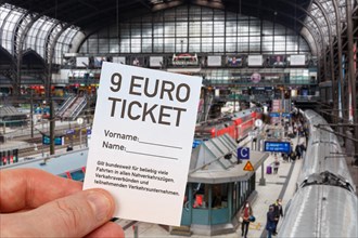 9-euro-Ticket Photomontage at Hamburg Central Station