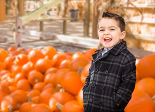 Happy biracial boy having fun at the pumpkin patch farm