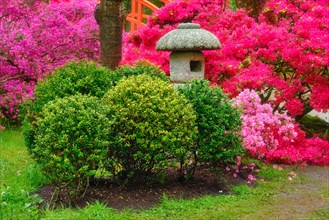 Stone lantern in Japanese garden with blooming flowers