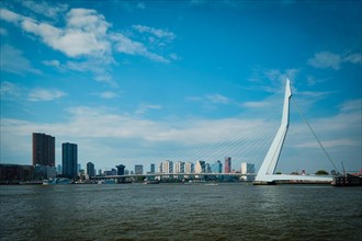 View of Rotterdam skyline over Nieuwe Maas with Erasmusbrug bridge and skyscrapers