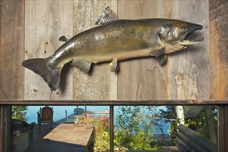 Stuffed fish mounted on the wall with deck and lake in the background