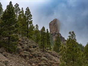 View on the hiking trail to Roque Nublo