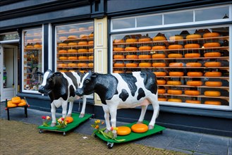 Cheese shop with heads of cheese in shop window and cow statues. Delft