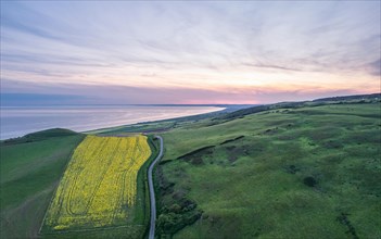 Sunset over Rapeseed field and Farmlands from a drone