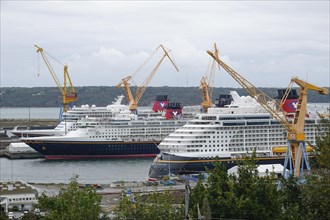 Disney Cruise Line's Disney Dream