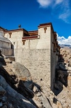 Shey palace and whitewashed chorten in Ladakh