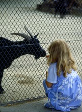 Little girl and goat