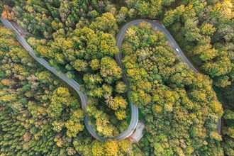 Aerial of a double curve through a forest with a view below