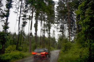 Blick durch eine nasse Windschutzscheibe auf ein fahrendes Auto auf einer Strasse im Wald bei Regenwetter