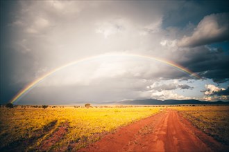 Landscape shot in the vast savannah with rainbow