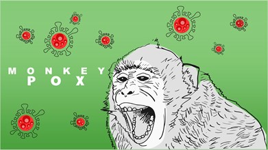 Monkeypox virus conceptual design