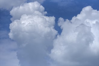 Towering cumulus cloud