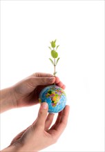 Hand holding a tree seedling on globe in hand on white background