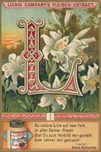 Picture series Letters and Plants