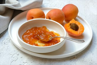 Apricot jam in shell and apricots