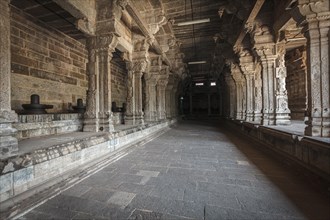 Lingams and columns in Hindu temple. Ekabmareswarar Temple