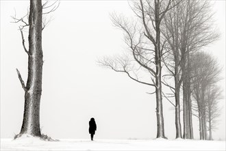 Einsame Frau laeuft in winterlicher Baum Allee