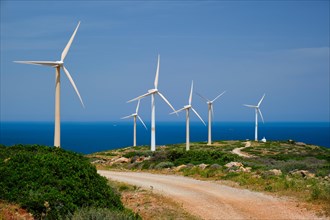 Green renewable alternative energy concept