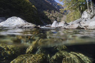 Mountain river in the Verzasca Valley