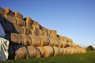 Stacked round bales of straw in a meadow against a blue sky