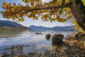 Summer day at the Tegernsee